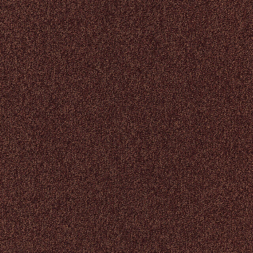 Ковровое покрытие Balta Arc Edition Spark W2W 313