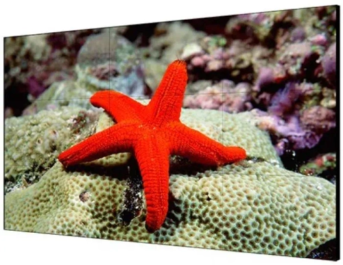 Панель HIKVISION  DS-D2055LR-G