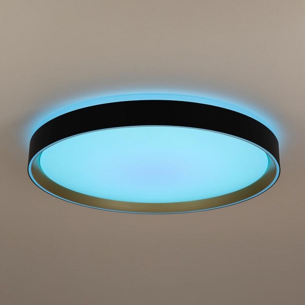 Накладной светильник Citilux BOSS CL751451G