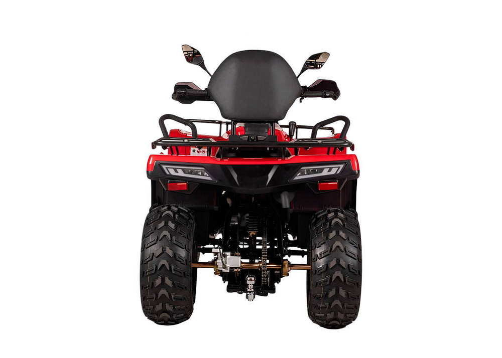 Квадроцикл BIZON YK200 Basic Carb