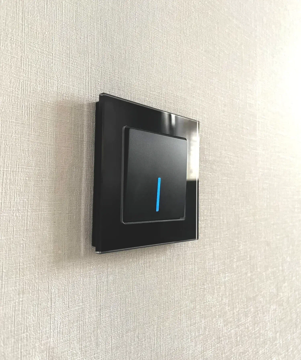 Выключатель одноклавишный с подсветкой (черный матовый) W1110108