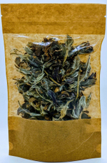 Подснежник (прострел, сон-трава) (цвет)