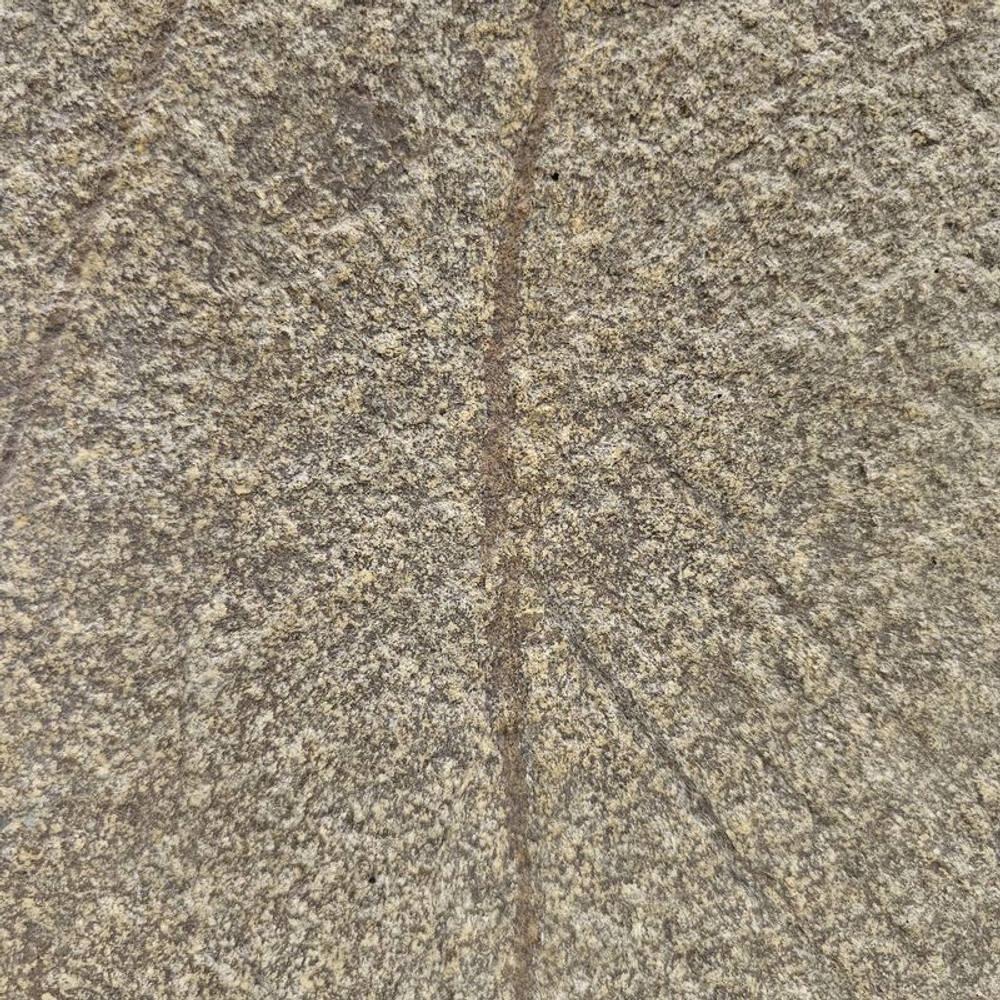 Каменный шпон Slate Light Rainforest Brown 1220х2440мм