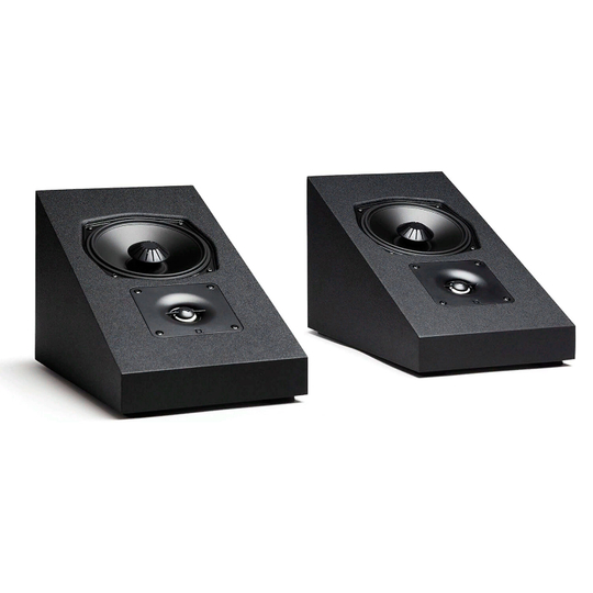 Definitive Technology Dymension DM95