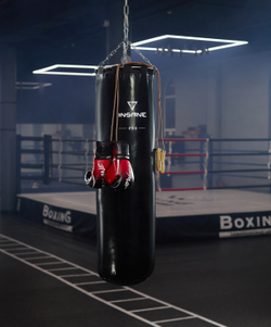 Мешок боксерский PRO PUNCH, 170 см, 70 кг, тент, черный