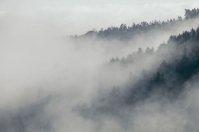 Фреска Applico, коллекция Natura