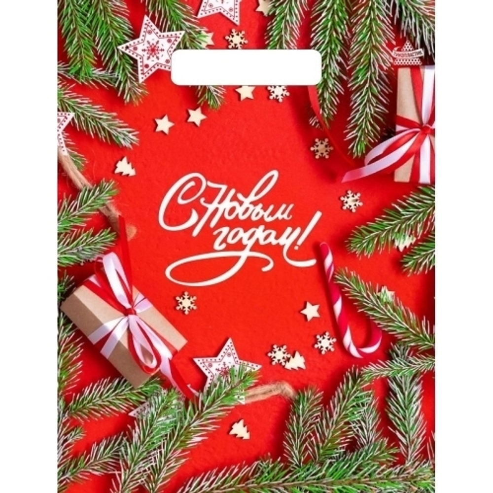 Пакет ПЭ с вырубной неусиленной ручкой 23х30см (30) (Цвет Нового года) НГ Тико