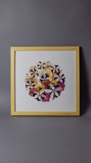 Петунья, ночная красавица. Картина из цветов в рамке