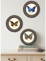 Картины на стену интерьерные на холсте 3 шт