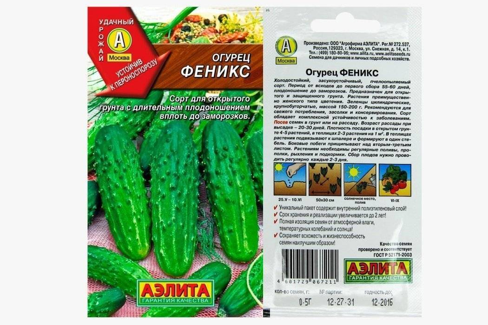 Огурец Феникс