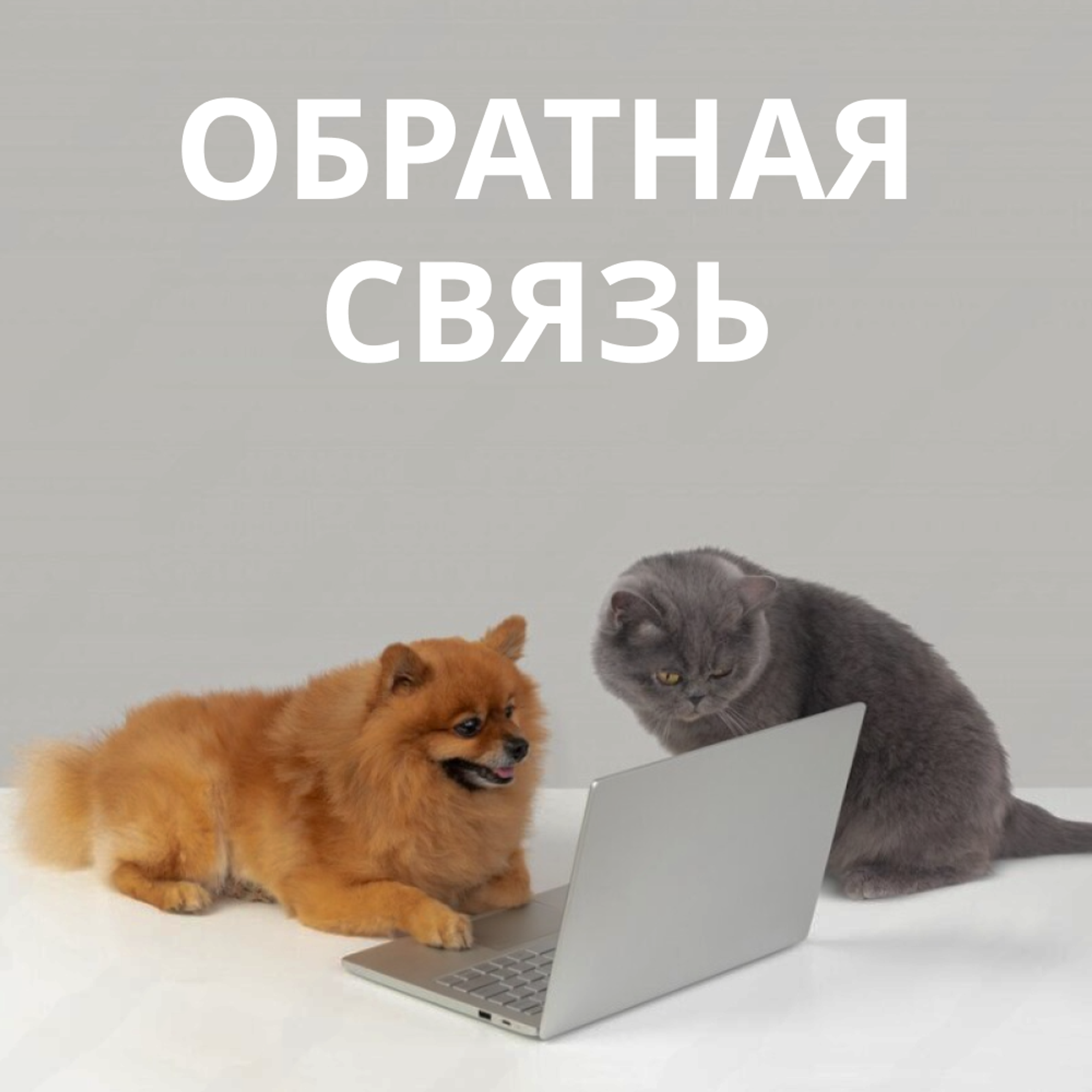 Обратная связь Обратная связь
