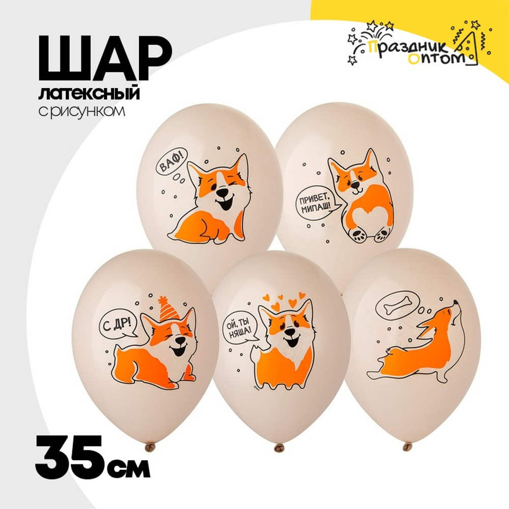 Шар латексный 35см С ДР! Корги (Бежевый)