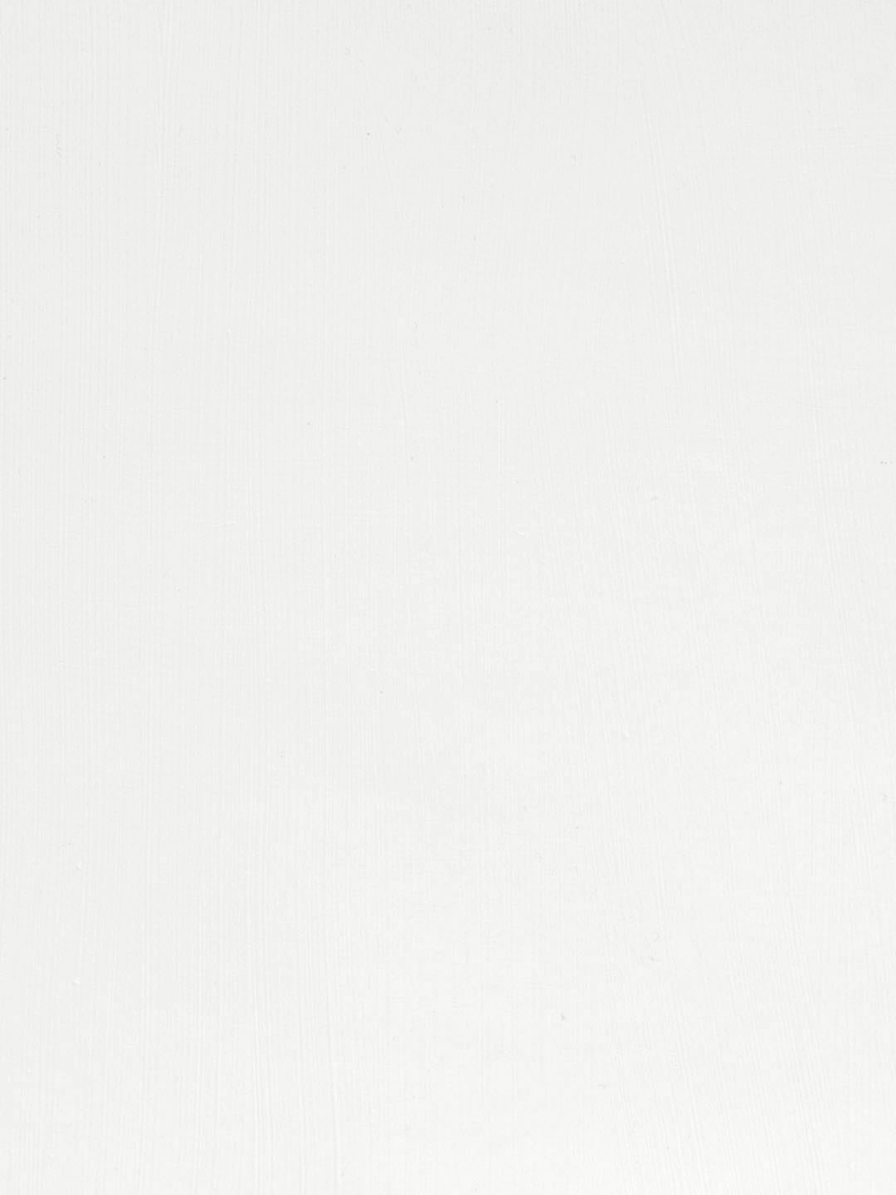 Масляная краска Белила цинковые 40 мл