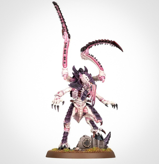 Lictor