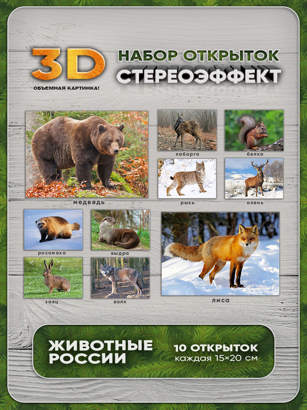 Набор стереооткрыток с 3D-эффектом "Животные России" 15x20 см