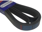 Ремень 1900 (6/PK) поликлиновой (Technik)