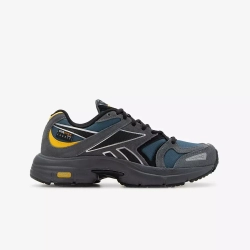 Кроссовки мужские Reebok PREMIER ROAD PLUS VI 100070274