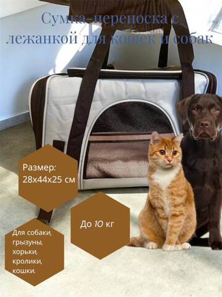 Сумка-переноска с лежанкой для кошек и собак