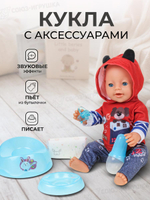 Пупс функциональный с аксесс., короб. BL038Q