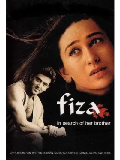 В поисках брата (2000) (DVD-R)