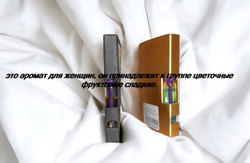 Парфюмерная вода женская СвеТLана Mr. Newl C&M015-00 1 ml