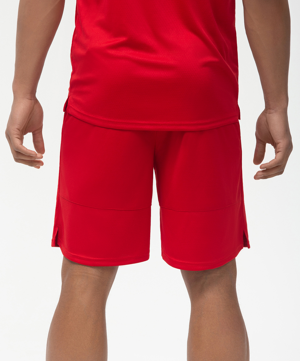 Шорты баскетбольные PerformDry Division Star, красный