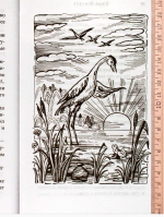 Еловые лапы. Рассказы и сказки для детей Шмелев Иван Сергеевич