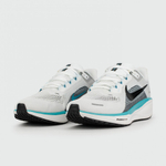 кроссовки Nike Air Zoom Pegasus 41 Grey / White FD2722-103