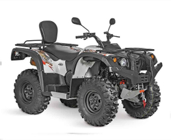 Квадроцикл BALTMOTORS Striker 700 EFI