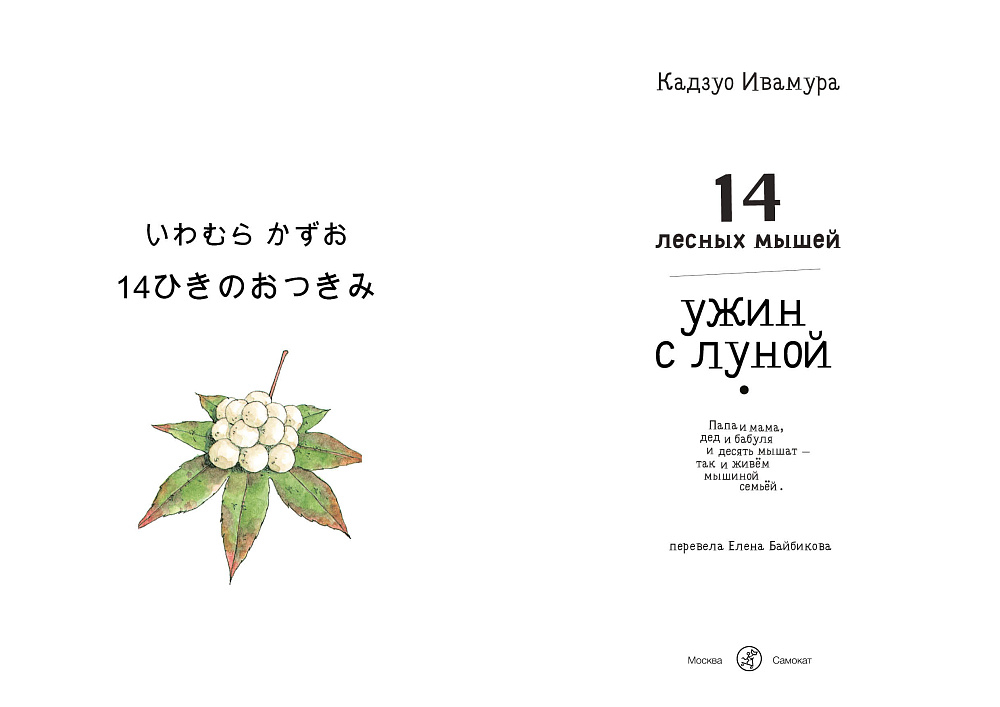 🌟 ВОЛШЕБНЫЙ МИР ВИММЕЛЬБУХОВ ИЗДАТЕЛЬСТВА "САМОКАТ" 🎨