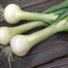 Лук свежий репчатый некрупный / 200 гр Лук свежий репчатый некрупный / 200 гр