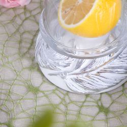 Лимонница Боа Сильвер