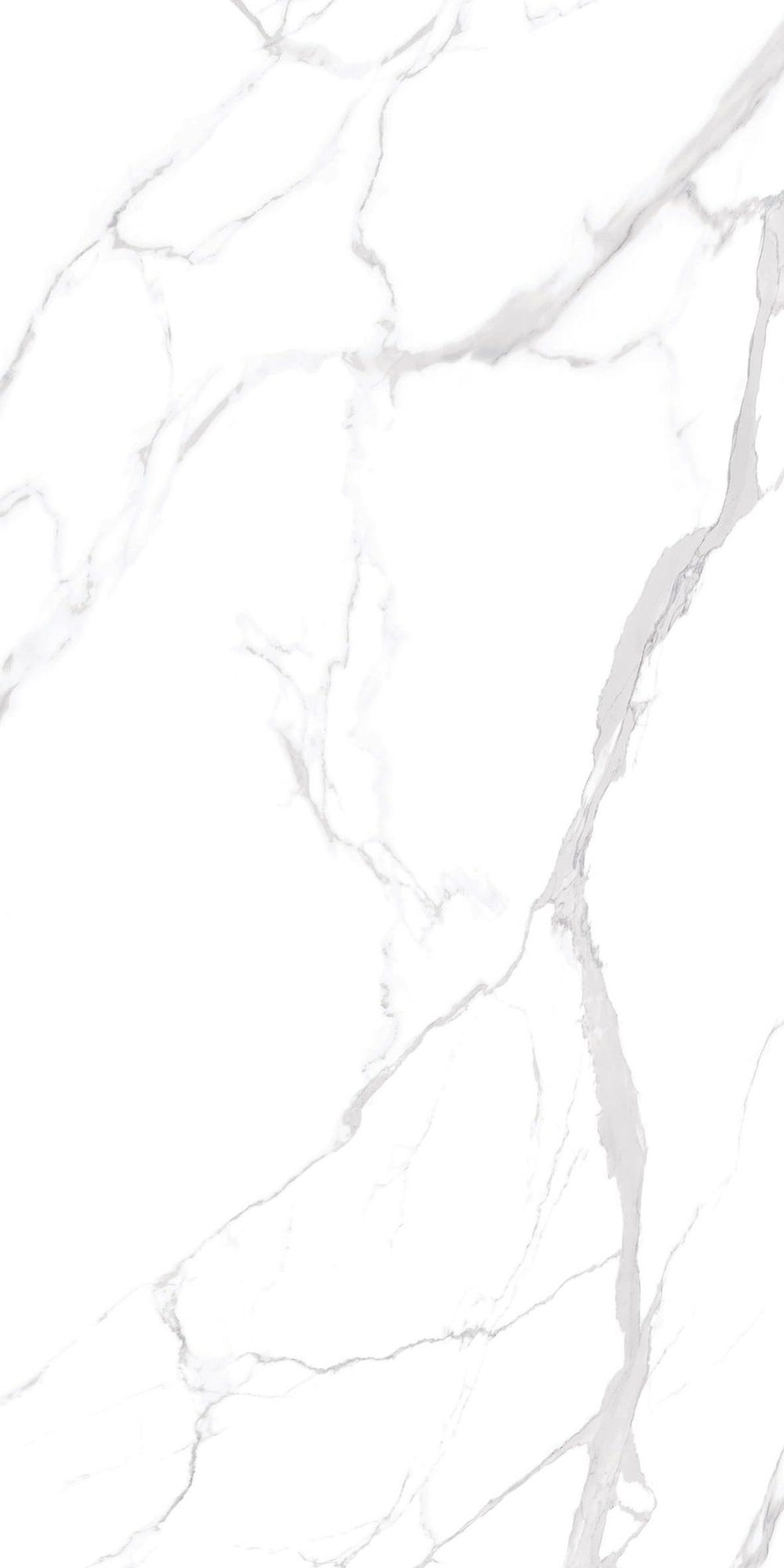NT Ceramic Marmo Statuario Ultra White 60x120