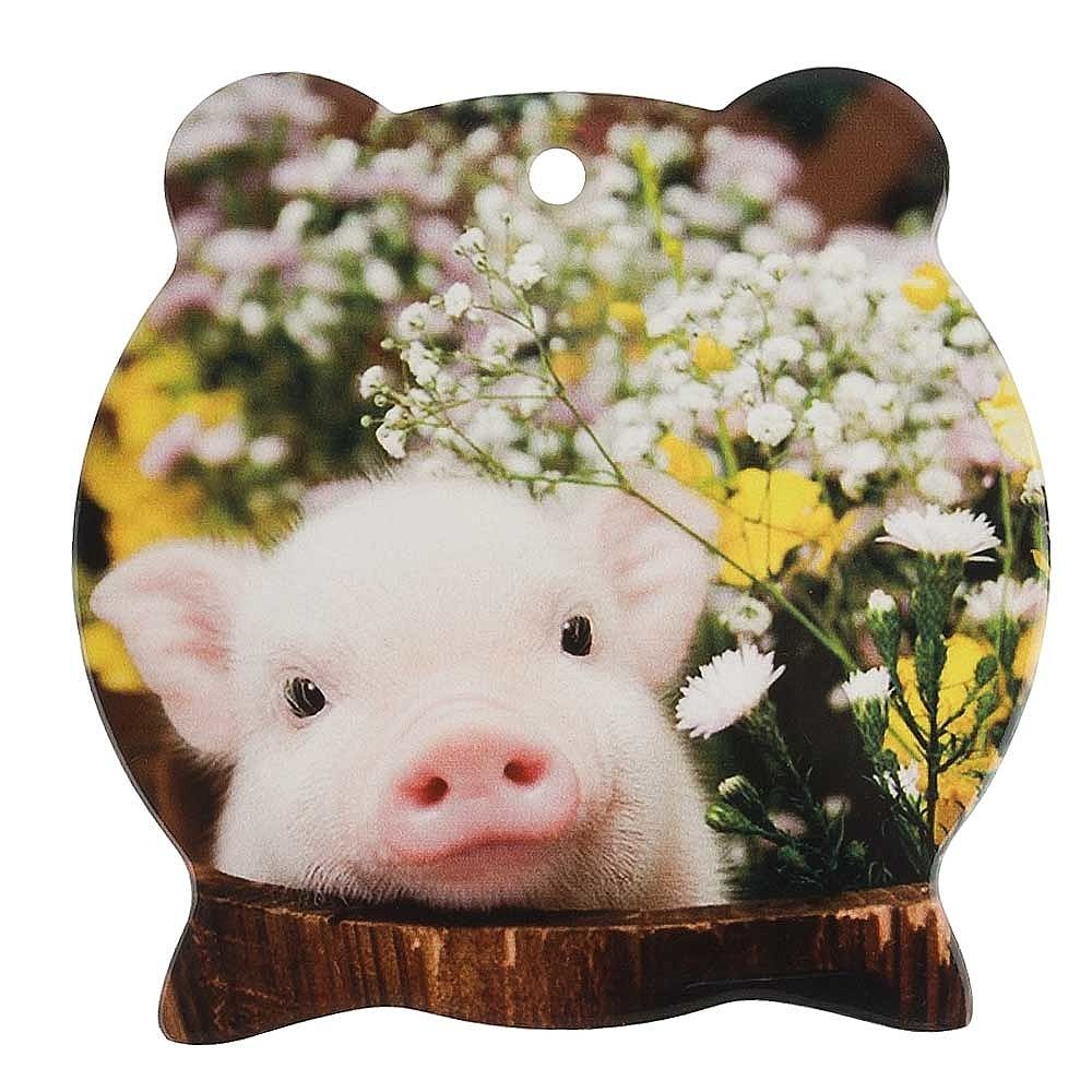 Подставка под горячее с пробкой "Хрюшка" 16*1*15см. (6видов) (керамика) (подарочная упаковка)