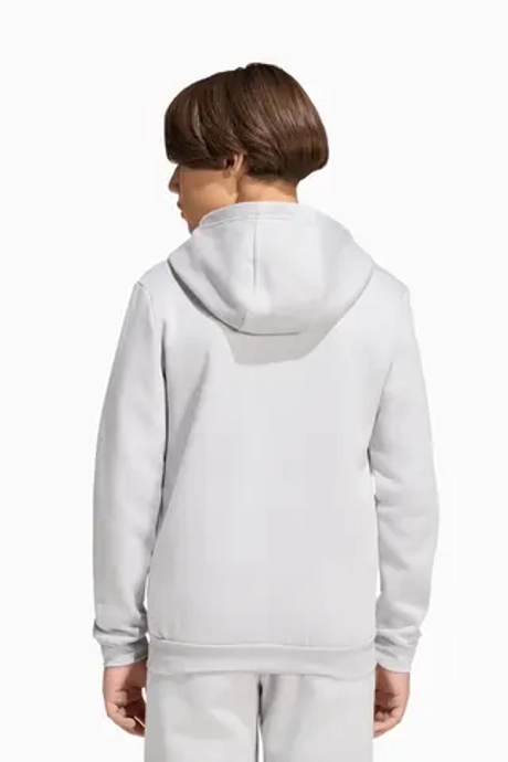 Кофта adidas Entrada 26 Sweat Full-Zip Junior - серый
