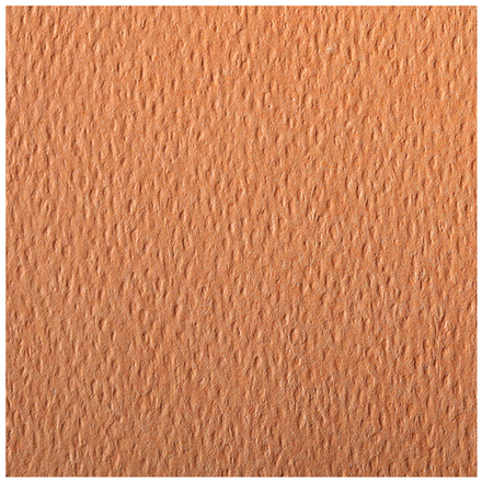 Цветная бумага 500*650мм., Clairefontaine "Etival color", 24л., 160г/м2, лососевый, легкое зерно, хлопок