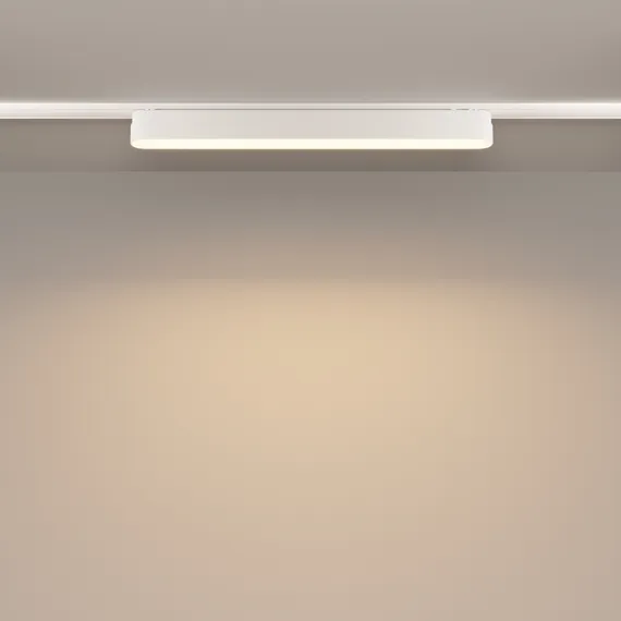 Трековый светильник Базис / Basis Radity 3000K 18Вт 120° Technical tr080-1-18w3k-w