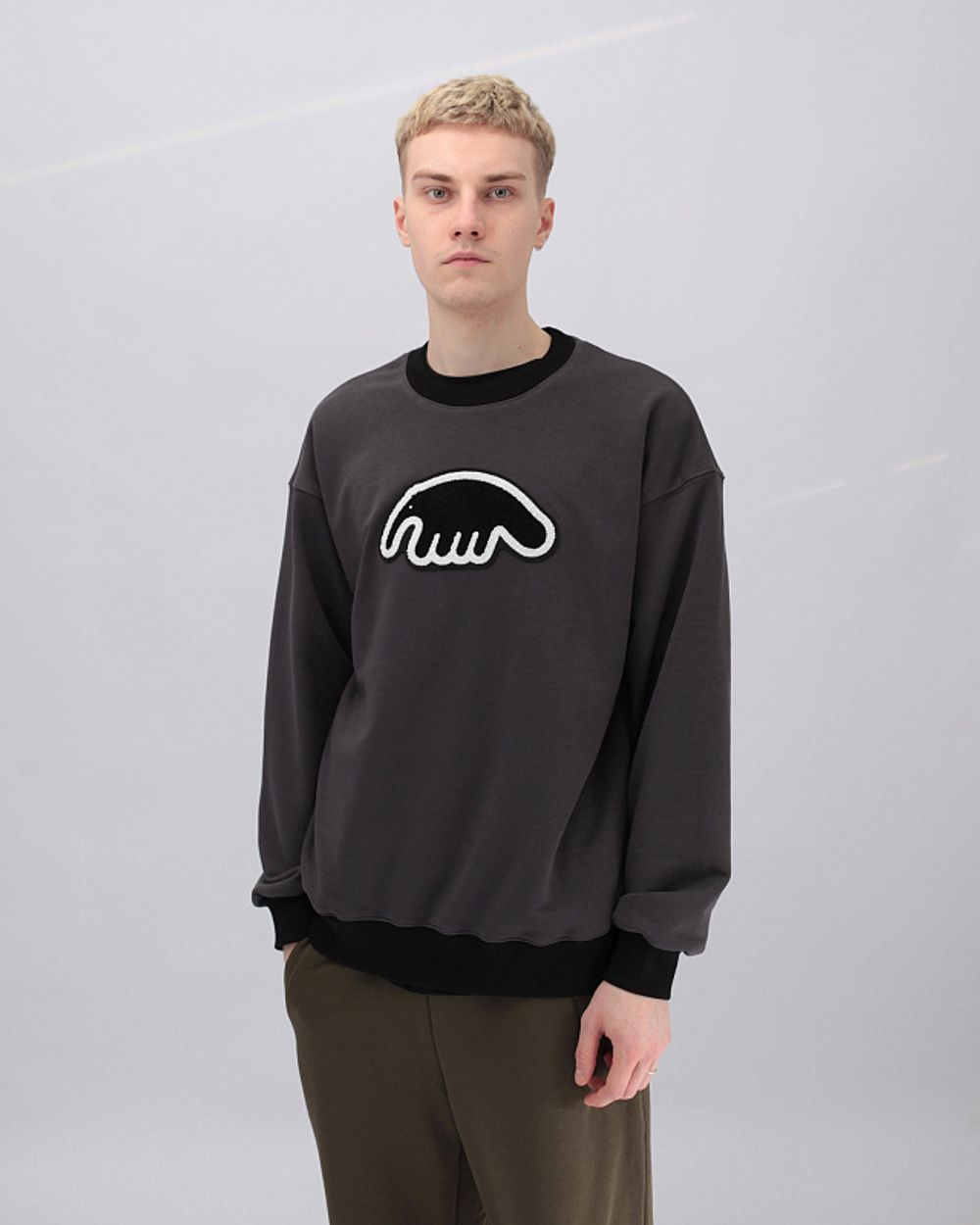 Толстовка Anteater Crewneck Biglogo Grey