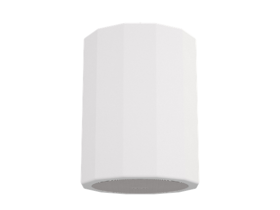 CVGAUDIO CUP5:8TW подвесная акустическая система, мощность 15/25/50W в 100V