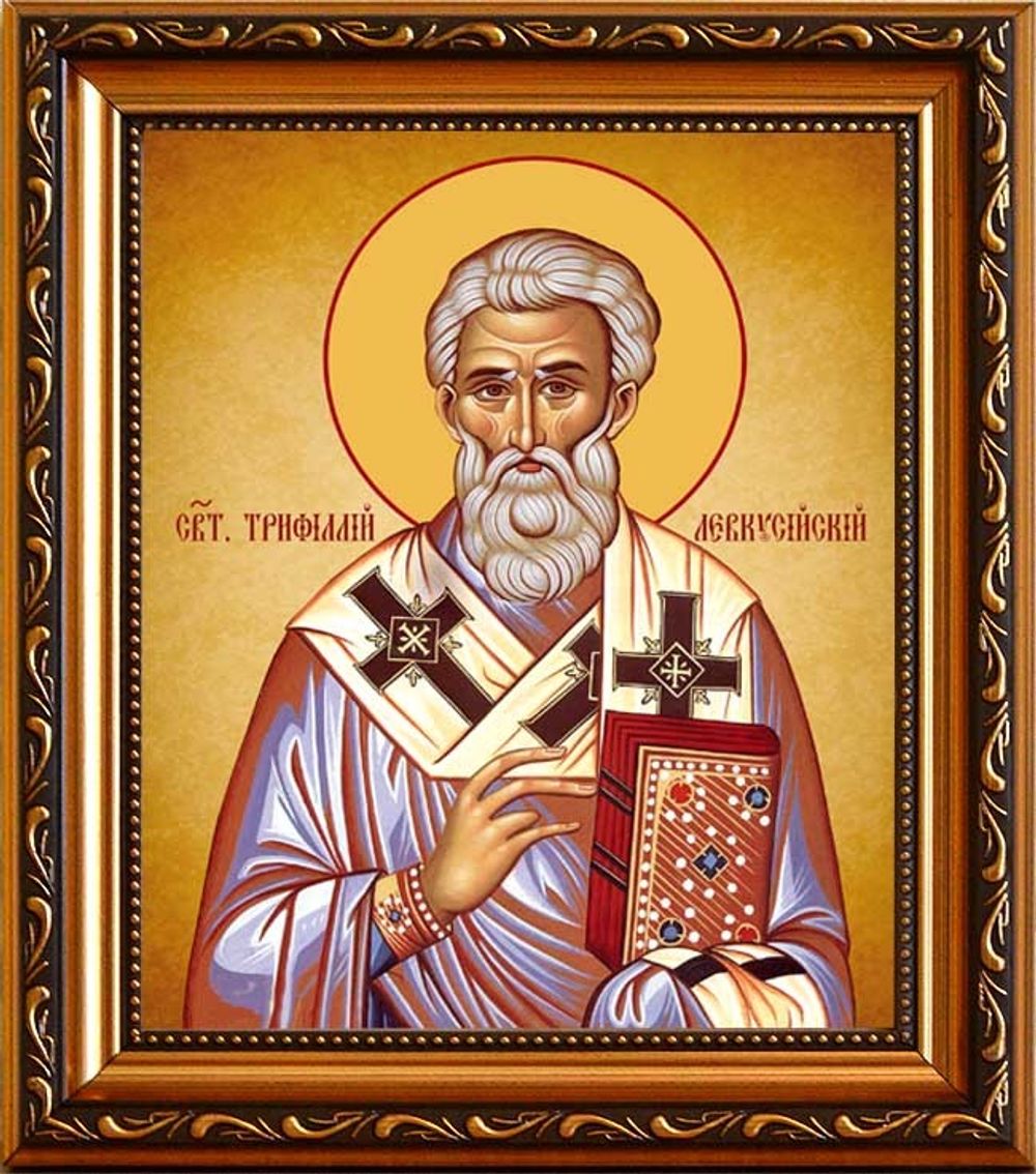 Трифи́ллий Левкусийский (Кипрский) Святитель. Икона на холсте в раме.
