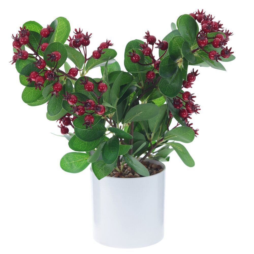 GAEM Цветочная композиция "Клюква", L19 W22 H36 см