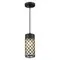 4834/1 NATURE ODL21 742 черный/стекло Ландшафтный светильник-подвес E27 1*60W IP44 DUNES