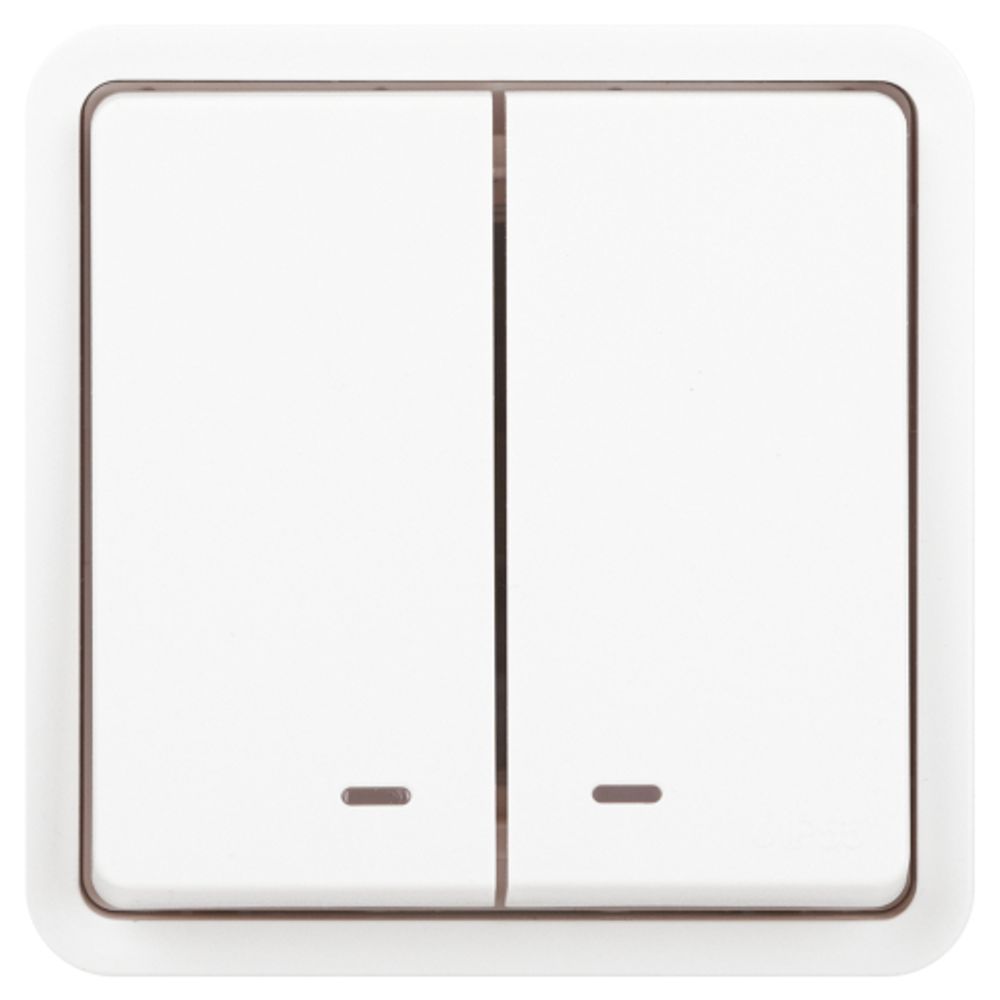 Выключатель ЭРА Эксперт 11-1525-01 двойной с подсветкой IP55 10АХ-250В СУ белый