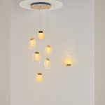 Подвесной светодиодный светильник Maytoni BIOLOGY MOD367PL-L18BBSK