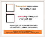 Рама 70x95 для картин и фотографий RP1354305-02(AC02)