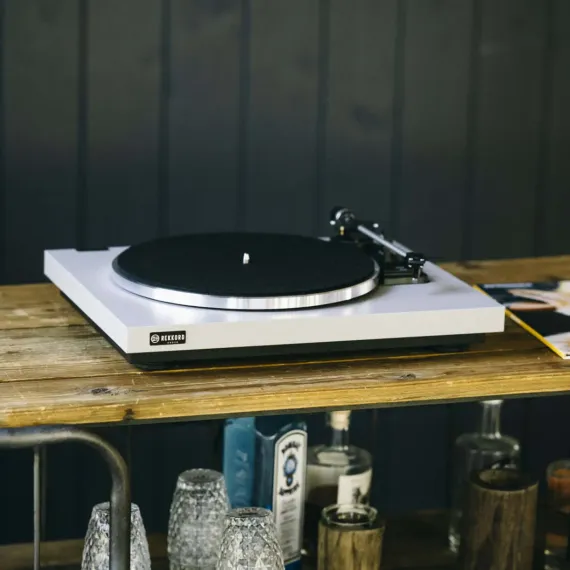 Rekkord Audio F300 Silver OM10