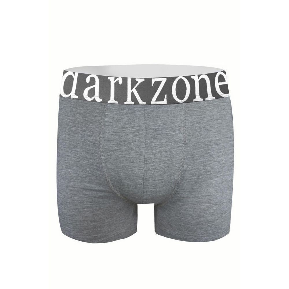 Мужские трусы боксеры синие DARKZONE DZN2705