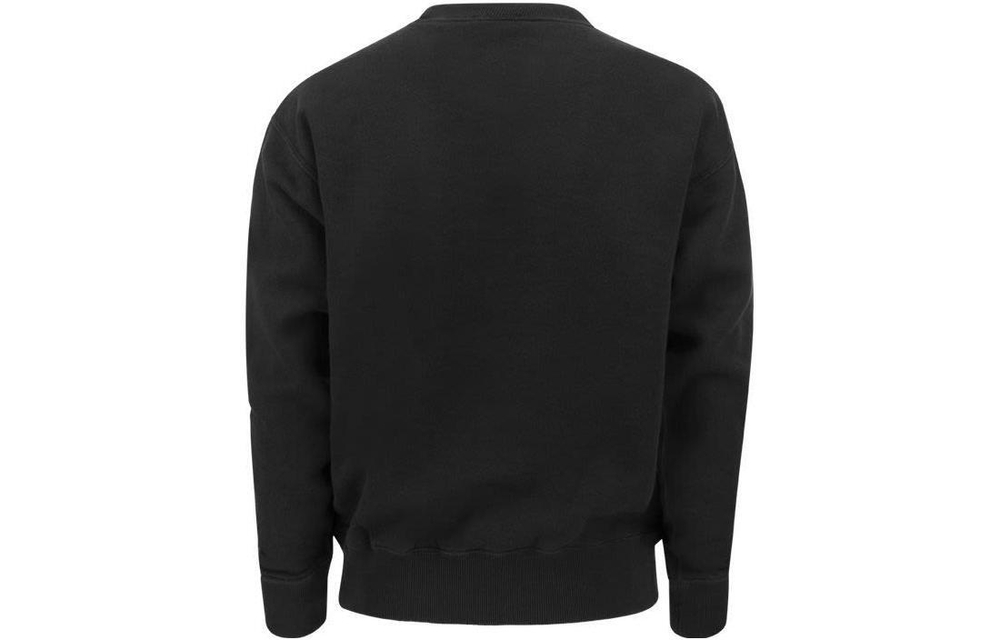 Толстовки Polo Ralph Lauren SS23 Logo, 211891557-003