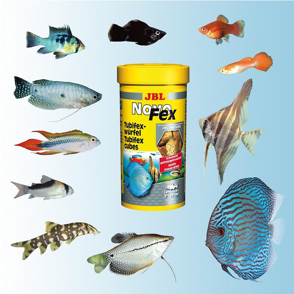 JBL NovoFex - корм для рыб (трубочник)