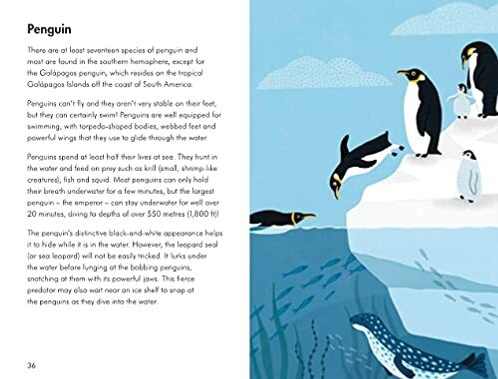 Ladybird Book: Sea Creatures 